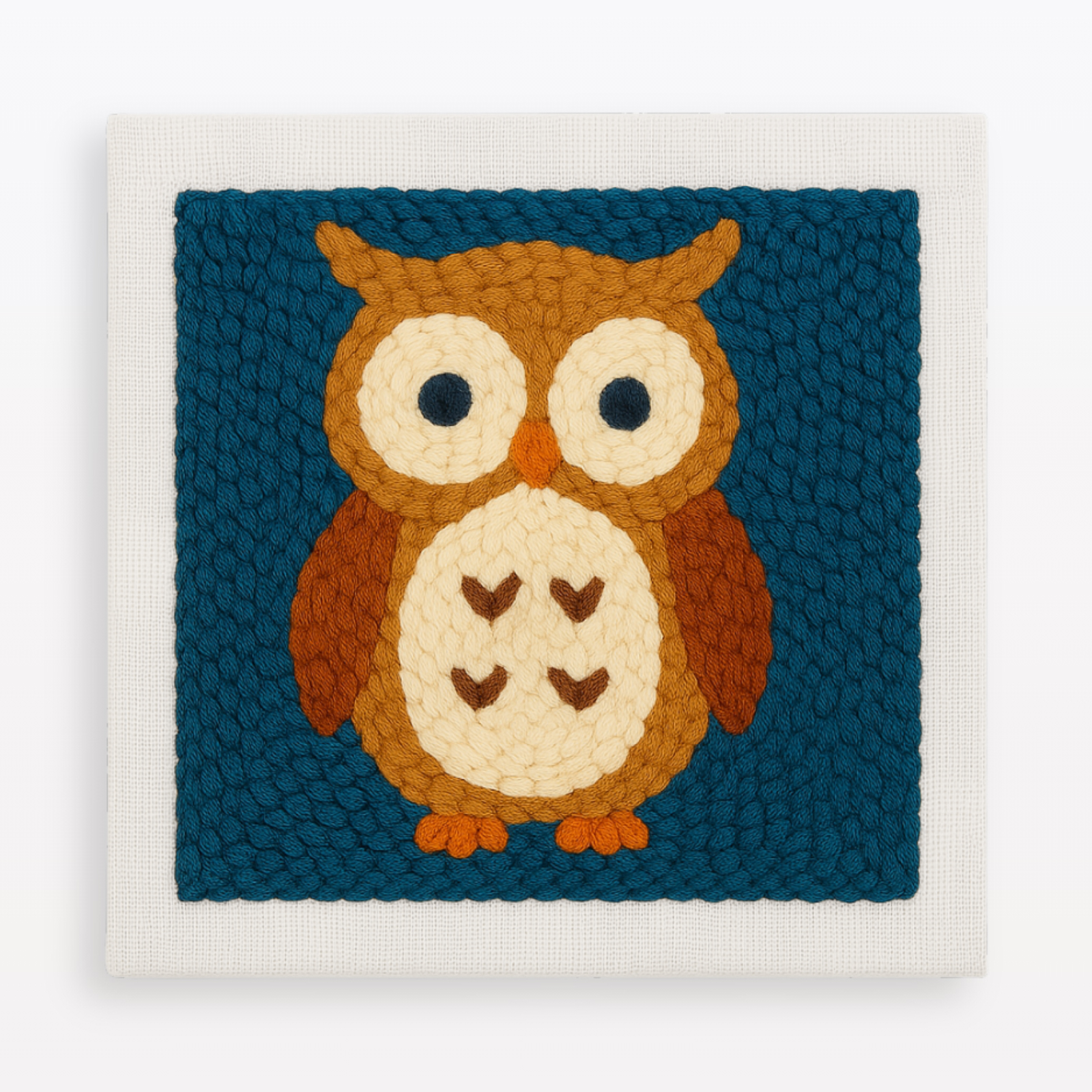 Charming Owl Hugs Punch Needle Craft Kit for Beginners DIY Home Decor Fun